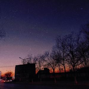 日本美女处女屄
